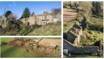 PICTURES: Derelict Kilkenny cottage on two acres for sale for less than €100k