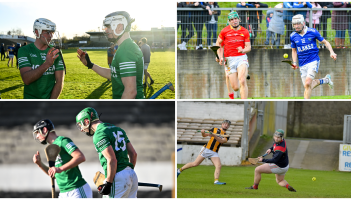 GALLERY: The best pics from an action packed weekend for Kilkenny teams in Leinster