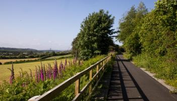 ‘Huge potential there’: Multiple Kilkenny greenway projects to progress in 2026