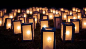 Annual festival returns to County Kilkenny with packed schedule of events!