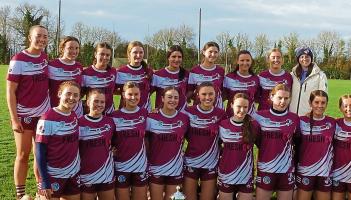 Clara show composure to claim Roinn B camogie crown against James Stephens