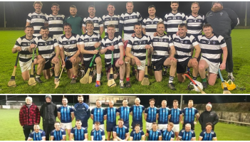 Kilkenny teachers showcase their skills in Leinster Inter-Firm Hurling Championship