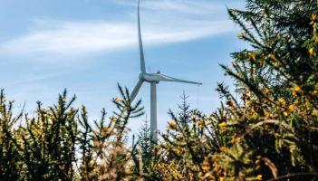 &lsquo;Why does it take so long?&rsquo;: Kilkenny TD criticises years-long wait for important legislation