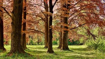 Exciting new plans to be unveiled for new County Kilkenny park