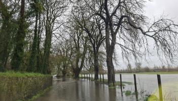'Expect the unexpected' - Kilkenny braces itself as new weather warning is issued