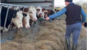 Ruair&iacute; Cummins farms 38ha in Kilmoganny and is one of 24 farmers taking part in the Future Beef Programme with Teagasc, this year