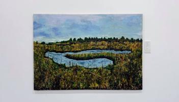 North Kilkenny boglands feature in exhibition by local artist