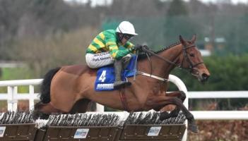 Willie Mullins favourite ruled out for the upcoming Cheltenham Festival