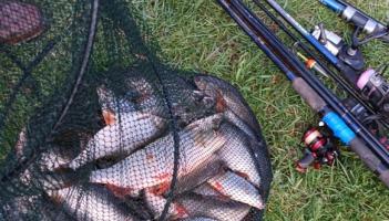 Kilkenny court case over illegal fishing ends in conviction