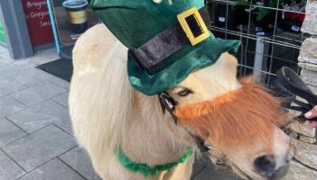 Floats of all shapes and sizes to feature in Graignamanagh Parade