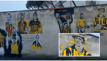 More Kilkenny hurling and camogie stars painted to the walls of UPMC Nowlan Park