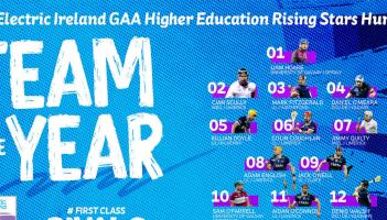 Kilkenny duo named on Fitzgibbon Cup hurling team of the year