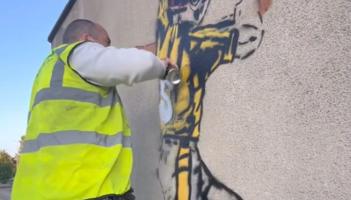 More Kilkenny hurling and camogie stars painted to the walls of UPMC Nowlan Park