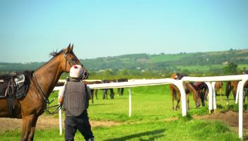 Horse racing in Carlow and Kilkenny generates €217m to the economy