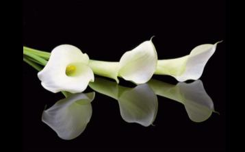 RIP: 'A lovely, pleasant man' - much loved Kilkenny priest passes away