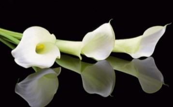 RIP: 'So kind and thoughtful' - Kilkenny community bids farewell to dearly loved woman