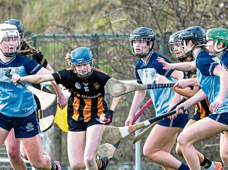 Kilkenny Minor Camogs show class in Leinster win over the Dubs