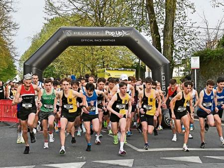 A Harriers success story- The Streets of Kilkenny takes place this week