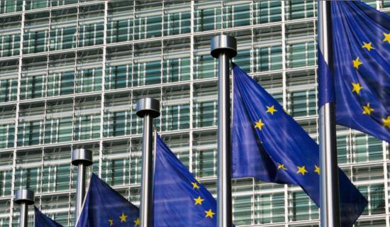 Kilkenny MEP calls on Ursula Von der Leyen to resign over failure to act on Gaza, stance on CAP, and other issues