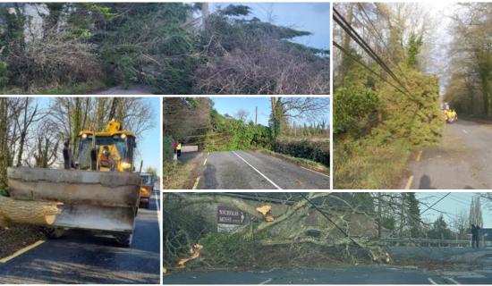 PICTURES: Storm &Eacute;owyn leaves trail of destruction in Kilkenny