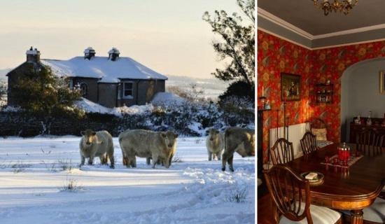 Live among the owls at this stunningly refurbished property for sale in Kilkenny