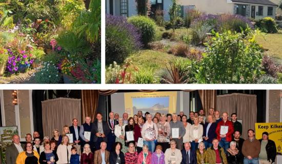 PICTURES: Kilkenny housing estates and private garden winners revealed at KKB Awards 2025 - gallery #2