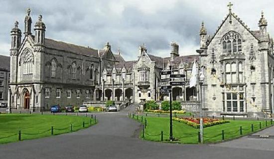 St Kieran's College progress works on GAA facilities at Kilkenny site