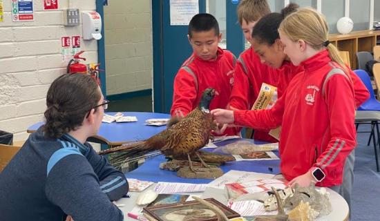 PICTURES: Kilkenny schools combine and inspire in spirited celebration of SciFest