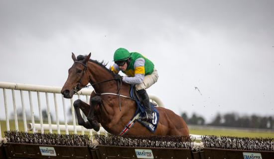 Gowran trainer enjoys winning week ahead of busy Christmas racing schedule