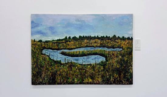 North Kilkenny boglands feature in exhibition by local artist