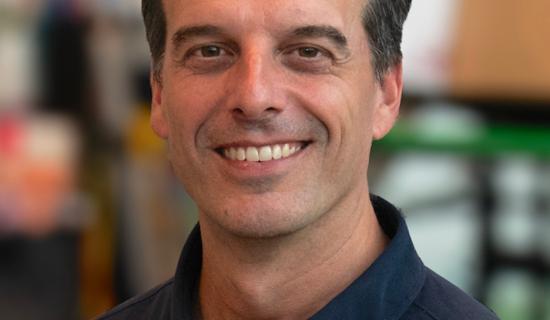 Top producer named as new CEO of Kilkenny's Cartoon Saloon