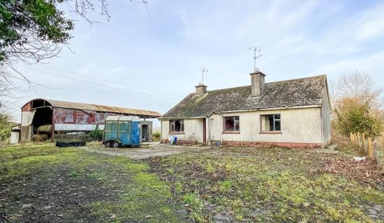Kilkenny farm sparks bidding war as large agricultural holding sells at auction