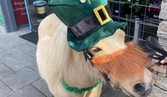 Floats of all shapes and sizes to feature in Graignamanagh Parade