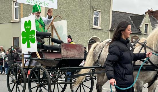 Gallery 4: Goresbridge parade is a success - St Patrick's Day in Kilkenny 2026