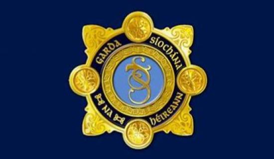 Driver who gave false name to Kilkenny garda&iacute; arrested and given court date