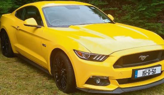 The heart winning Mustang is a smash hit during Arts Festival