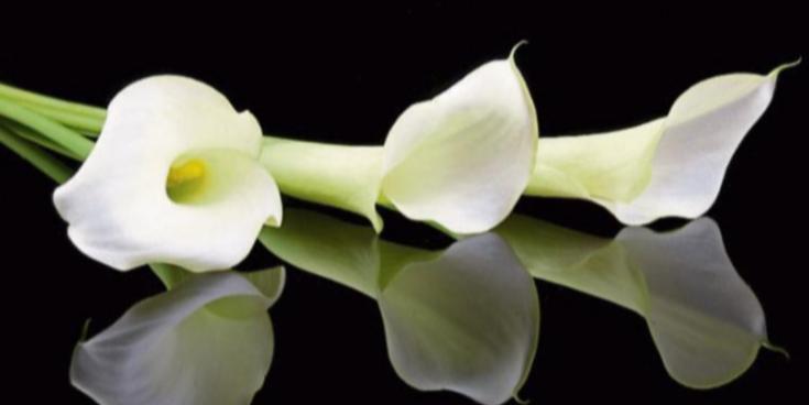 RIP: Kilkenny community remember 'ray of sunshine' after sad passing