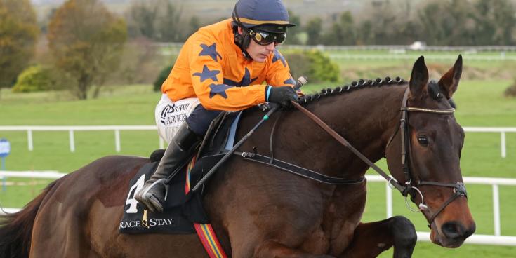 Kilkenny trainer Willie Mullins ready to unleash stable stars at Punchestown