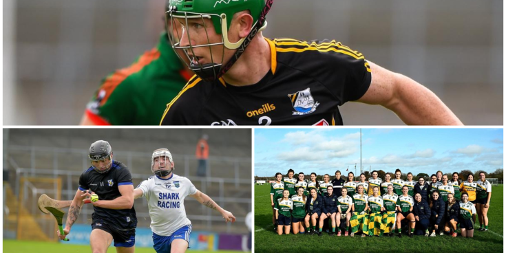 Kilkenny GAA: Mixed results for Danesfort, Barrow Rangers and Muckalee in outside competition