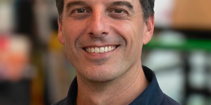 Top producer named as new CEO of Kilkenny's Cartoon Saloon