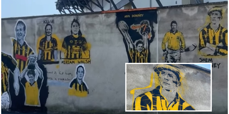 More Kilkenny hurling and camogie stars painted to the walls of UPMC Nowlan Park