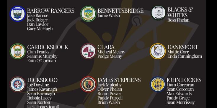 Kilkenny minor hurling squad named for Leinster Championship