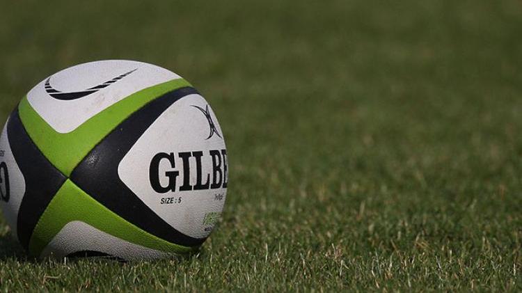 Kilkenny Rugby appoint club stalwart to role as Director of Rugby
