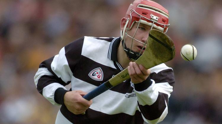 GALLERY: Some pictures from the stellar career of Kilkenny hurling legend Richie Hogan