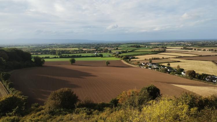 Big land owners in Kilkenny 'should be stopped from buying land'