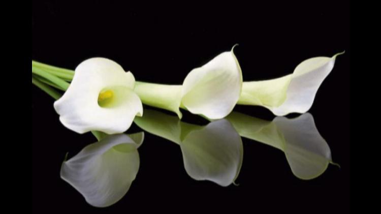 RIP: Kilkenny community in 'great shock' following sudden passing in area