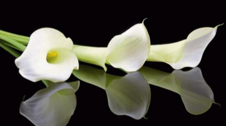 RIP: 'So kind and thoughtful' - Kilkenny community bids farewell to dearly loved woman