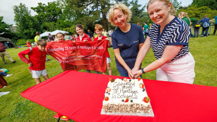 School programme popular in Kilkenny celebrates landmark milestone