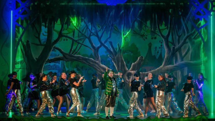 Wicked-ish! at the Watergate in Kilkenny is a standout success