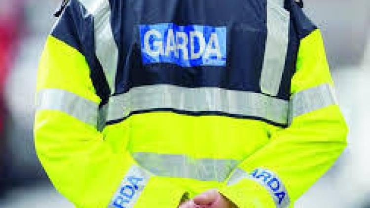 Kilkenny driver makes life saving decision to report serious crime to garda&iacute;